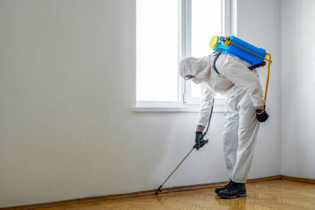 Best Affordable Pest Control Services  in Cherry Brah, NC