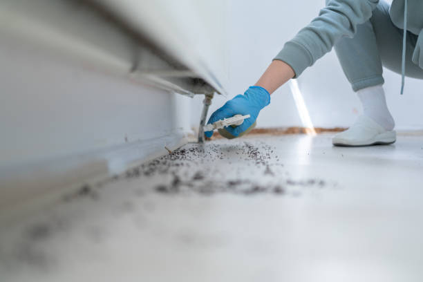 Best Exterminator Services  in Cherry Brah, NC